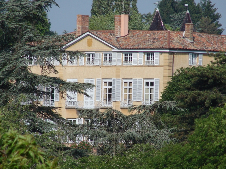 Château de Cruzols - Lentilly