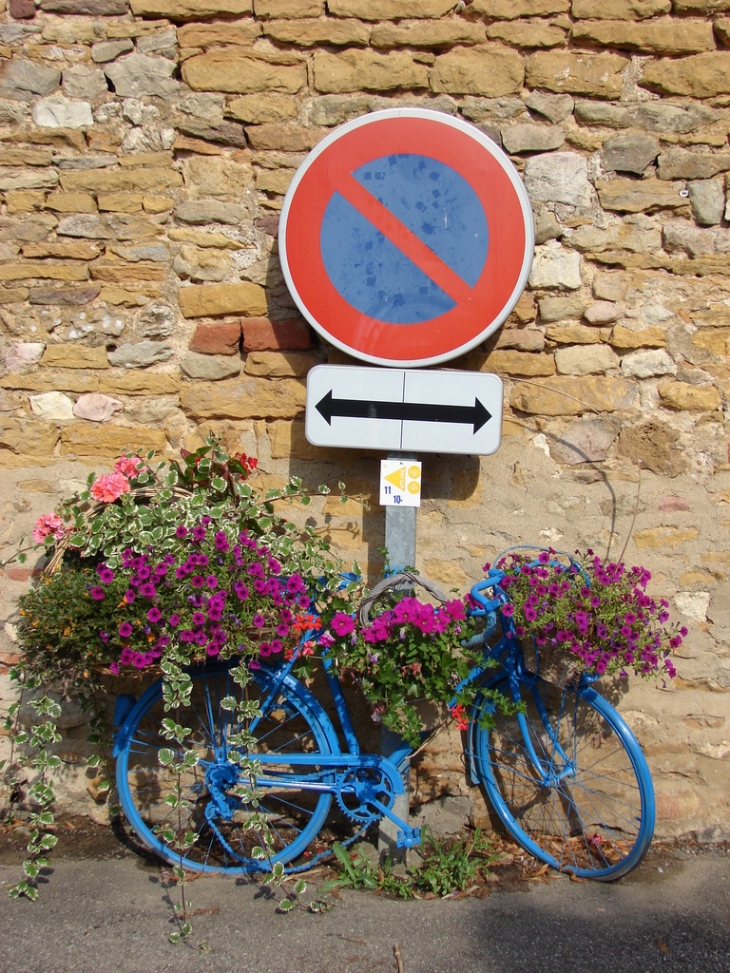 Le Vélo Fleuri (En stationnement interdit) - Marcy