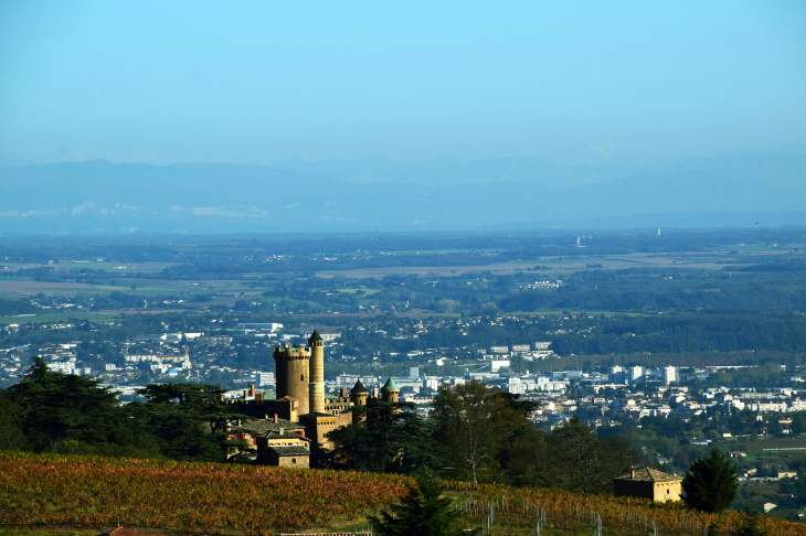 Vue panoramique - Montmelas-Saint-Sorlin