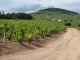 Le Mont Brouilly