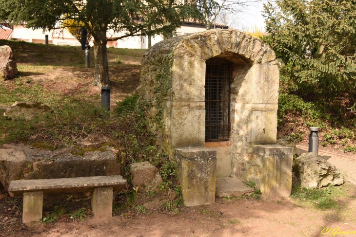 Ancien puits - Pollionnay