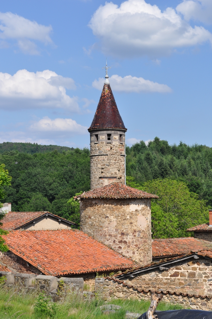 Le Château de Saconay - Pomeys