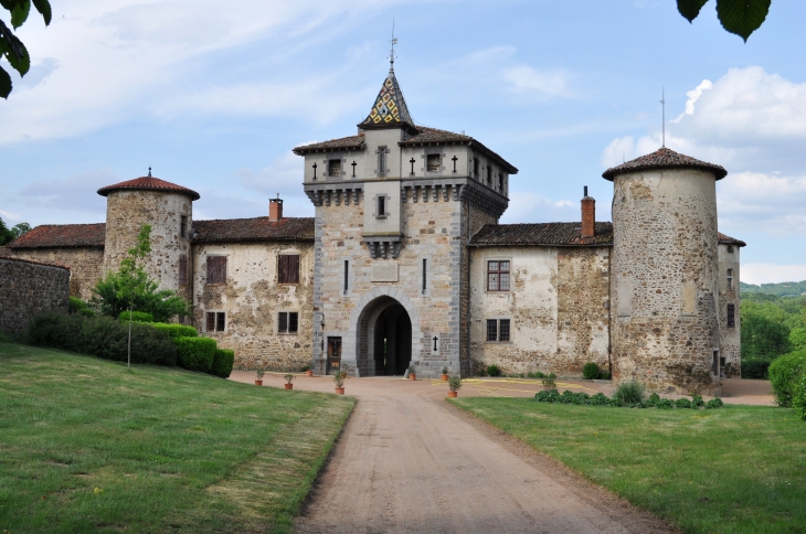 Le Château de Saconay - Pomeys