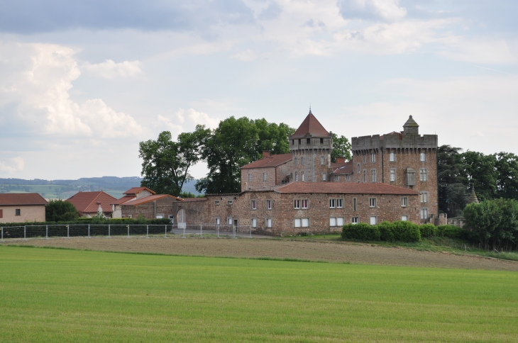 Le Château de Pluvy - Pomeys