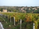 Photo suivante de Pouilly-le-Monial Le Vignoble à proximité du Cimetière