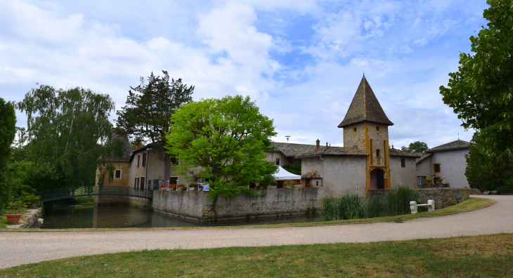 Château de Marzé - Saint-Georges-de-Reneins
