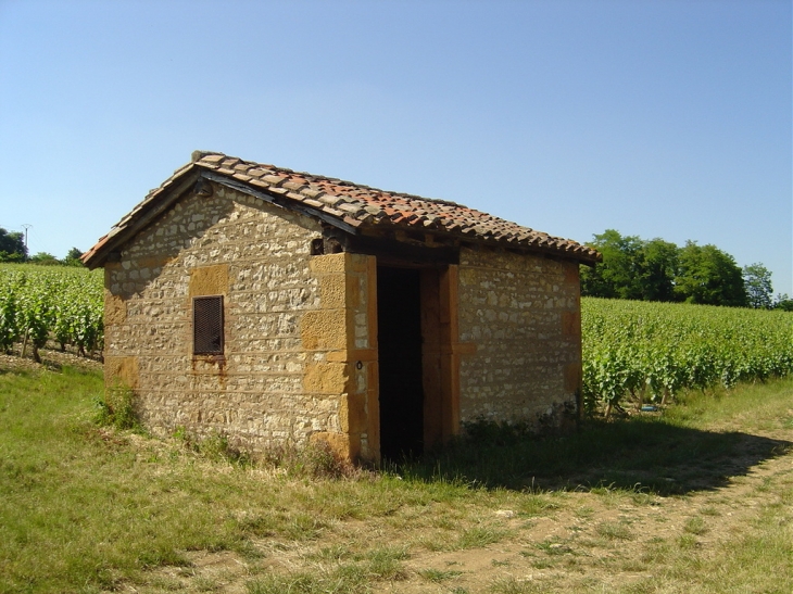 Cadolle - cabane de vigneron - Saint-Jean-des-Vignes