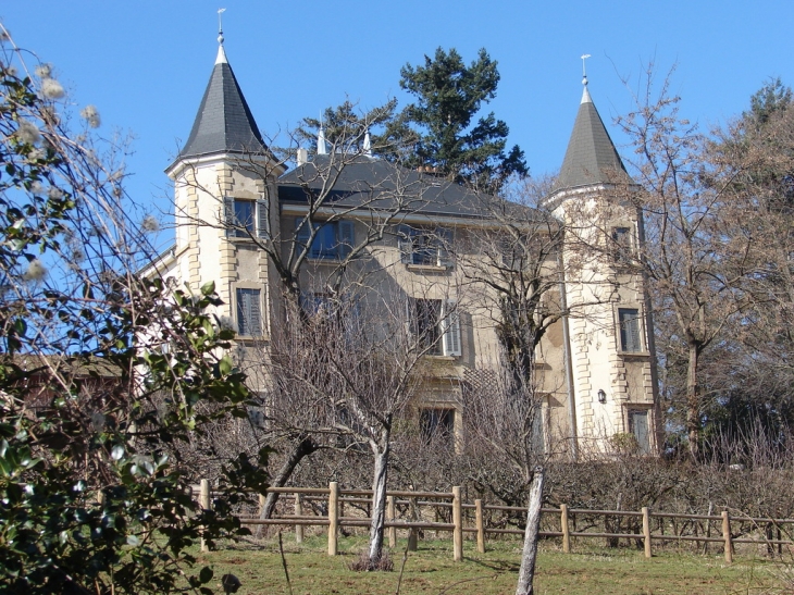 Château du XIXème Siècle - Saint-Pierre-la-Palud