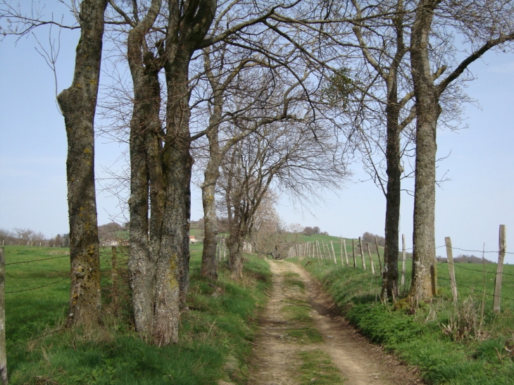 Chemin de la croix rouge - Sainte-Catherine