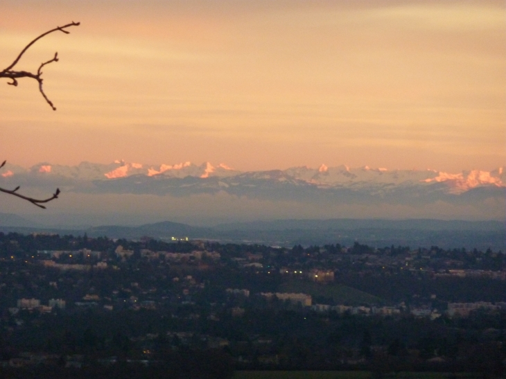 Vue sur les Alpes depuis Sainte-Consorce