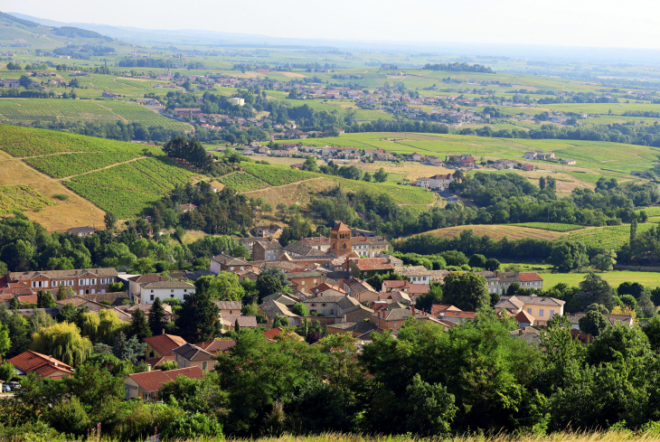 Vue panoramique - Salles-Arbuissonnas-en-Beaujolais