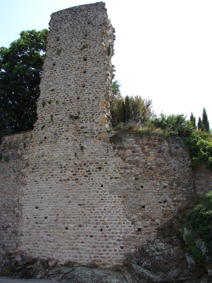 Vestiges du Donjon datant de 1210 - Ternand
