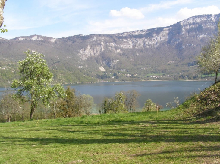 Panorama sur la rive et la  montagne d'Aiguebelle - Aiguebelette-le-Lac