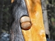Photo suivante de Aussois Réparation - Trait de Jupiter - 15è Sculpture de Serge Couvert - Forêt d'Aussois