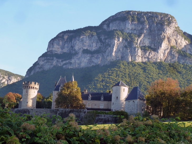 Château de la Bathie sous le rocher - Barby