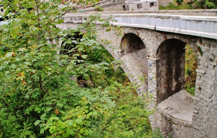  Pont sur les Gorges de l'Arly - Flumet