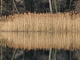 Lac de l'Echaillon