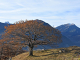 Vue sur les Aiguilles d'Arves & le Mont Charvin - Montandré