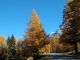 Route du Col du Mont-Cenis