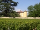 Photo suivante de Les Marches Le chateau de la violette et les vignes