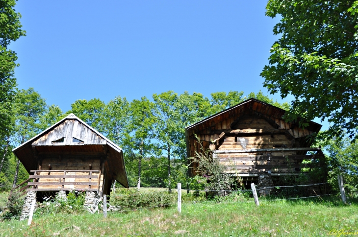 Petits greniers - Tioulévé - Montsapey