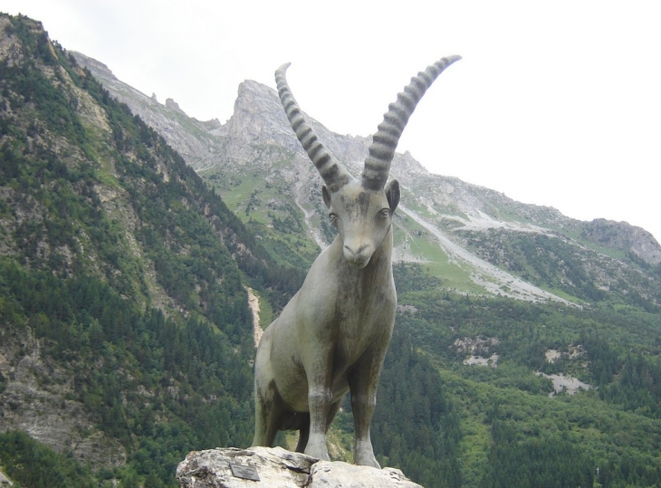 L'animal mythique de Pralognan - Pralognan-la-Vanoise