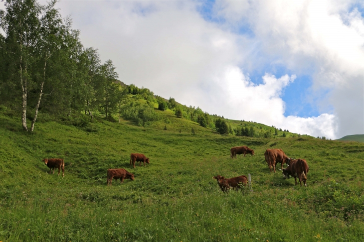 En montant au Col du Glandon. - Saint-Colomban-des-Villards