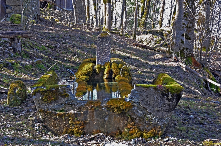 Fontaine de Bon Mollard  - Saint-Colomban-des-Villards