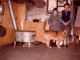 Photo suivante de Saint-Oyen Louise et Marcelle Frezat dans leur cuisine 1973