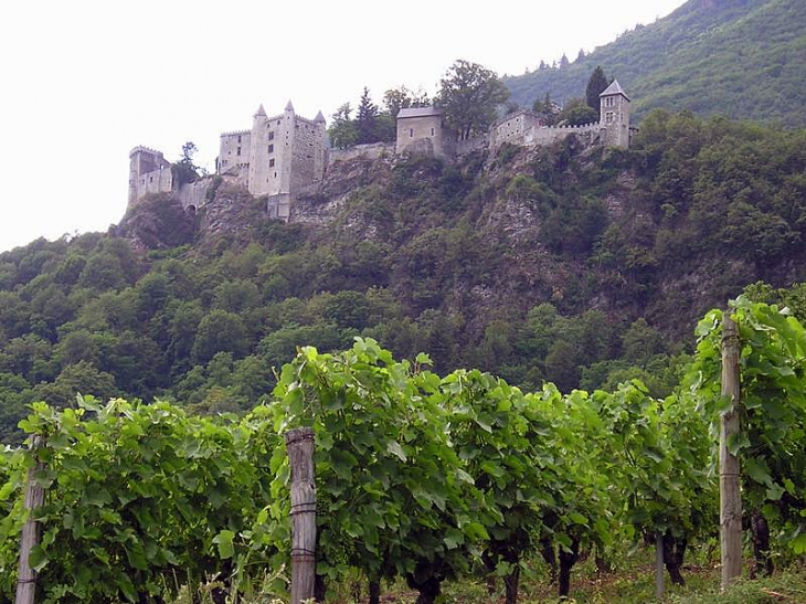 Le château de Miolans dominant le vignoble - Saint-Pierre-d'Albigny