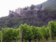 le château de Miolans dominant le vignoble